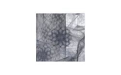 2014 12 15 Shadow Play 045-white.jpg